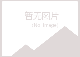 山阳县夏日咨询有限公司